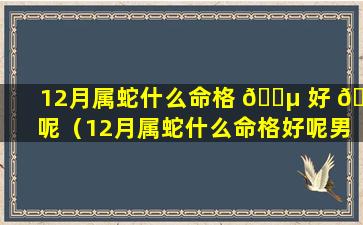 12月属蛇什么命格 🌵 好 🐋 呢（12月属蛇什么命格好呢男孩）